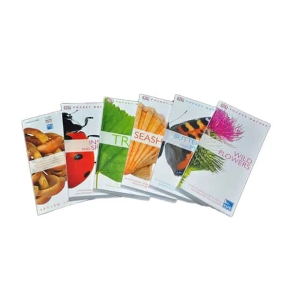 Brochure Magazine Book Printing Service
