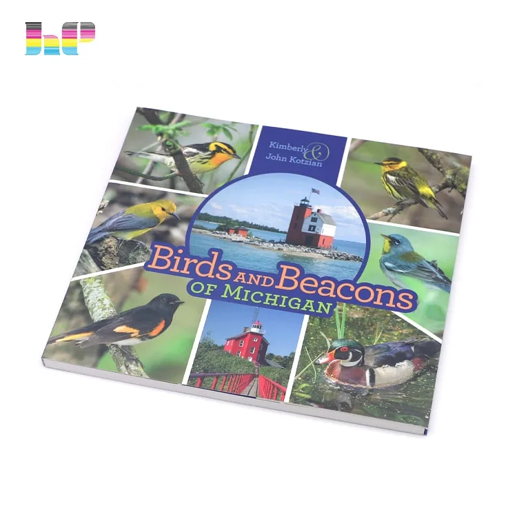 Custom book catalog brochure flyer printing - Image 2