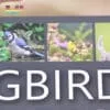 OEM custom wall calendar printing - Image 6